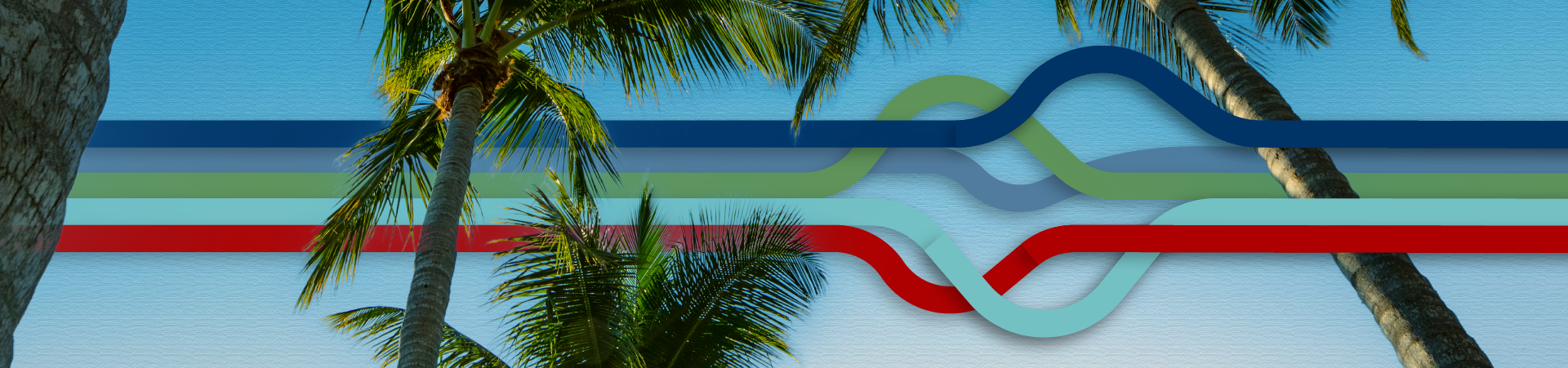 棕榈叶的图像，红色和蓝色的抽象线条